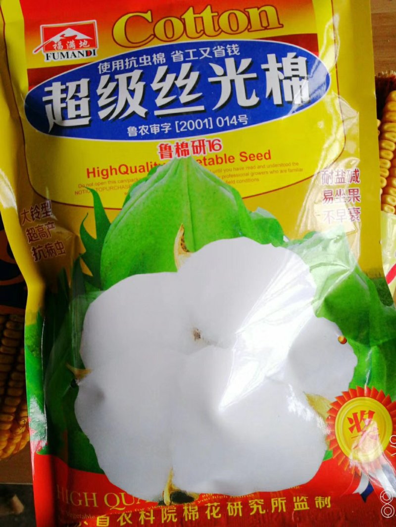 棉花种子山东农科院棉花研究所培育亩产千斤