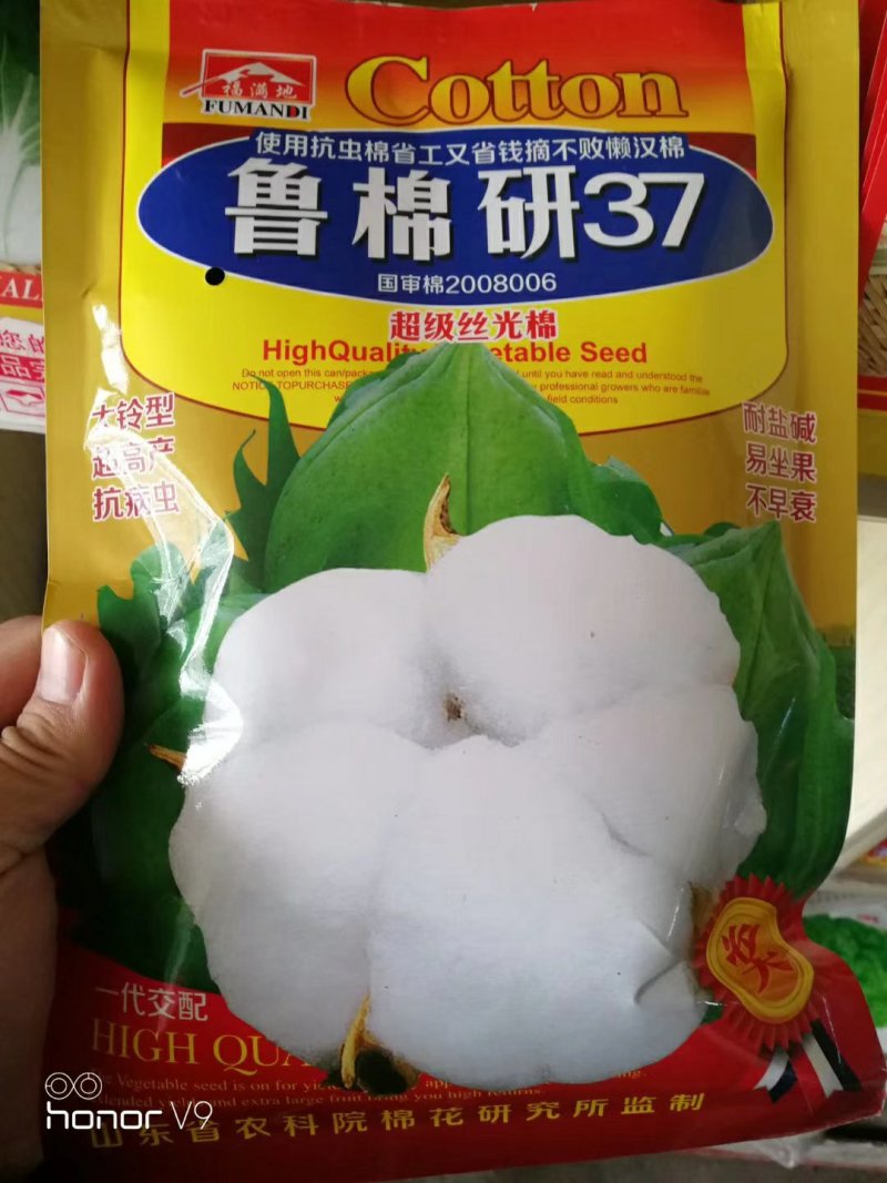 棉花种子山东农科院棉花研究所培育亩产千斤