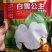 棉花种子山东农科院棉花研究所培育亩产千斤