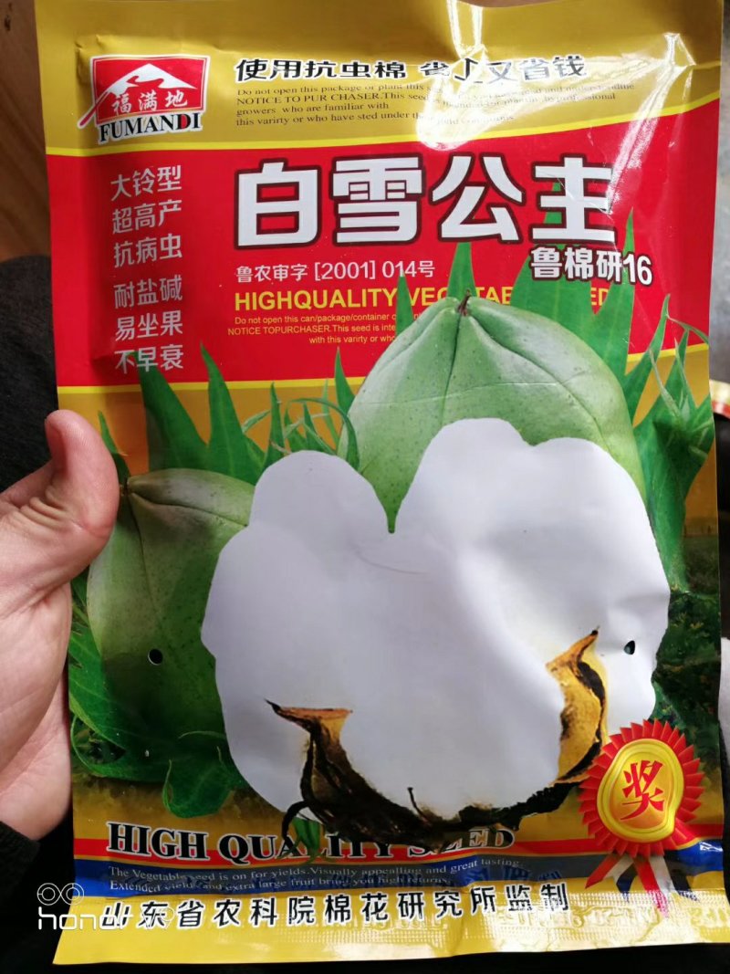 棉花种子山东农科院棉花研究所培育亩产千斤