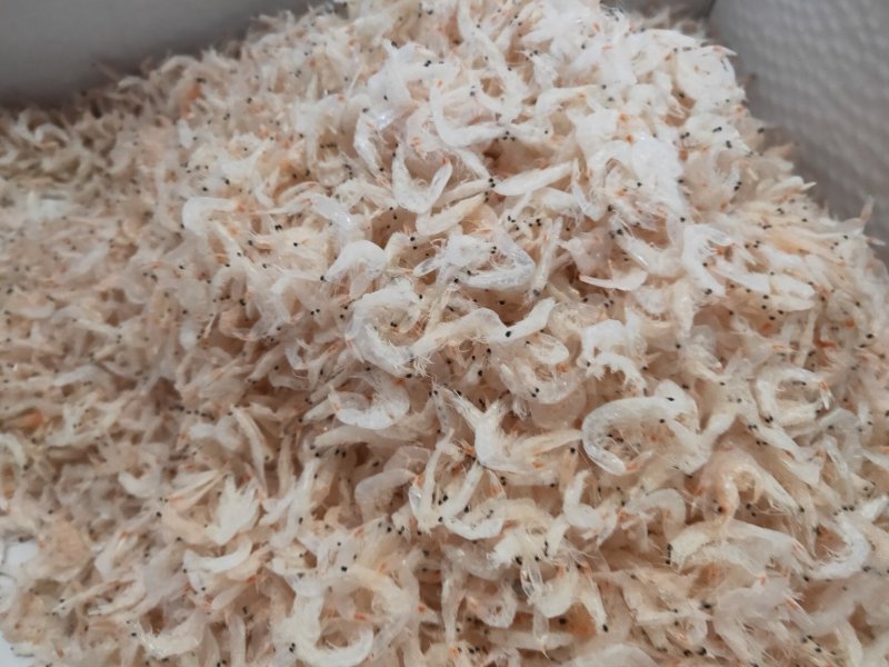 山东特产无盐淡干虾皮优质虾皮水产干货虾皮