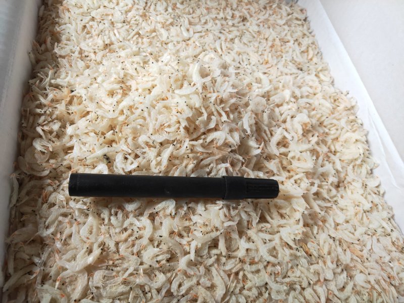 山东特产无盐淡干虾皮优质虾皮水产干货虾皮