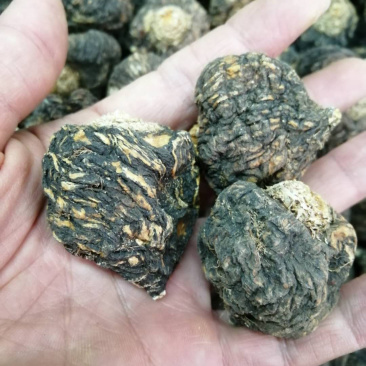 玛卡果云南丽江黑玛卡干果500克正品玛卡