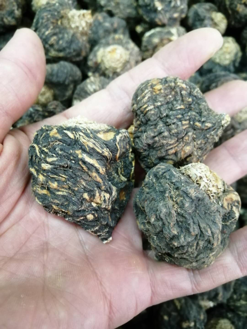 玛卡果云南丽江黑玛卡干果500克正品玛卡