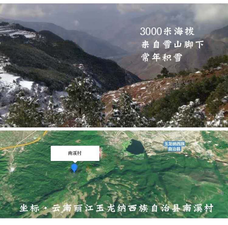 玛卡果云南丽江黑玛卡干果500克正品玛卡
