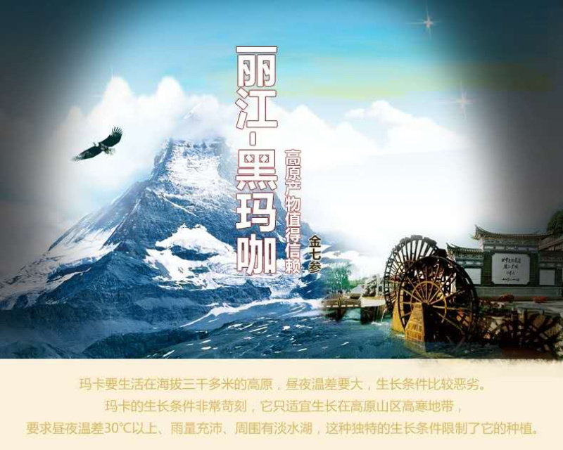 玛卡果云南丽江黑玛卡干果500克正品玛卡