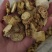 供应中药材金果榄别名地苦胆九牛胆