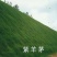 优质紫羊茅种子大量供应产地直销