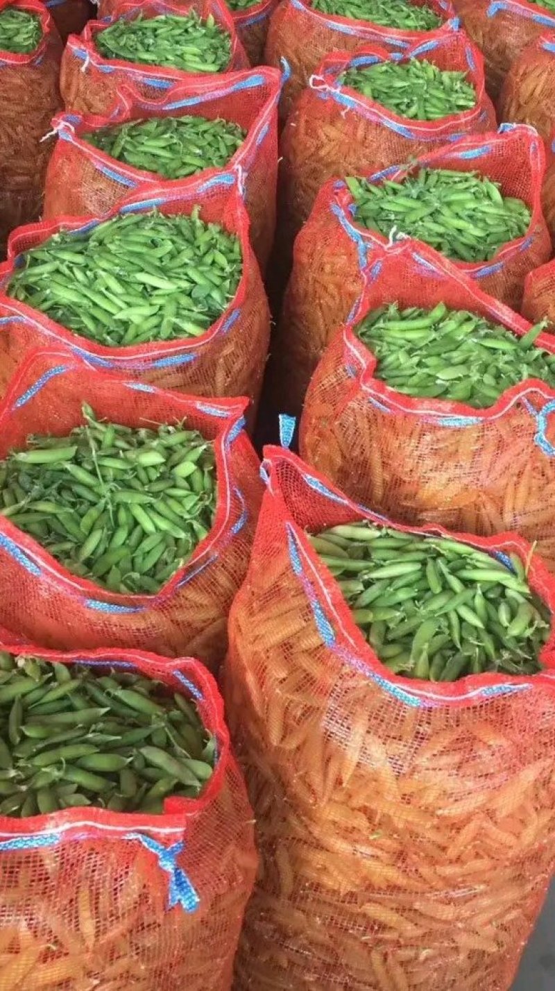 宛豆角上市中