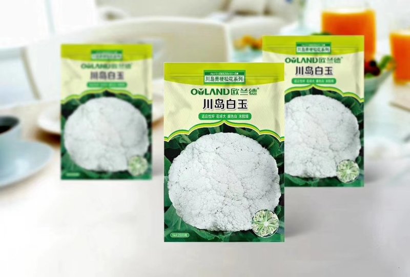 有机花种子