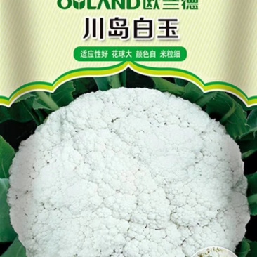 有机花种子