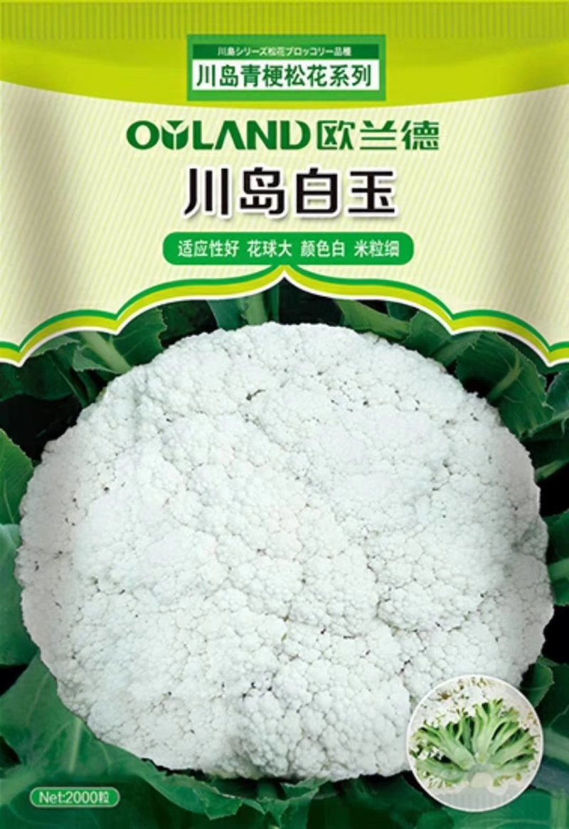 有机花种子