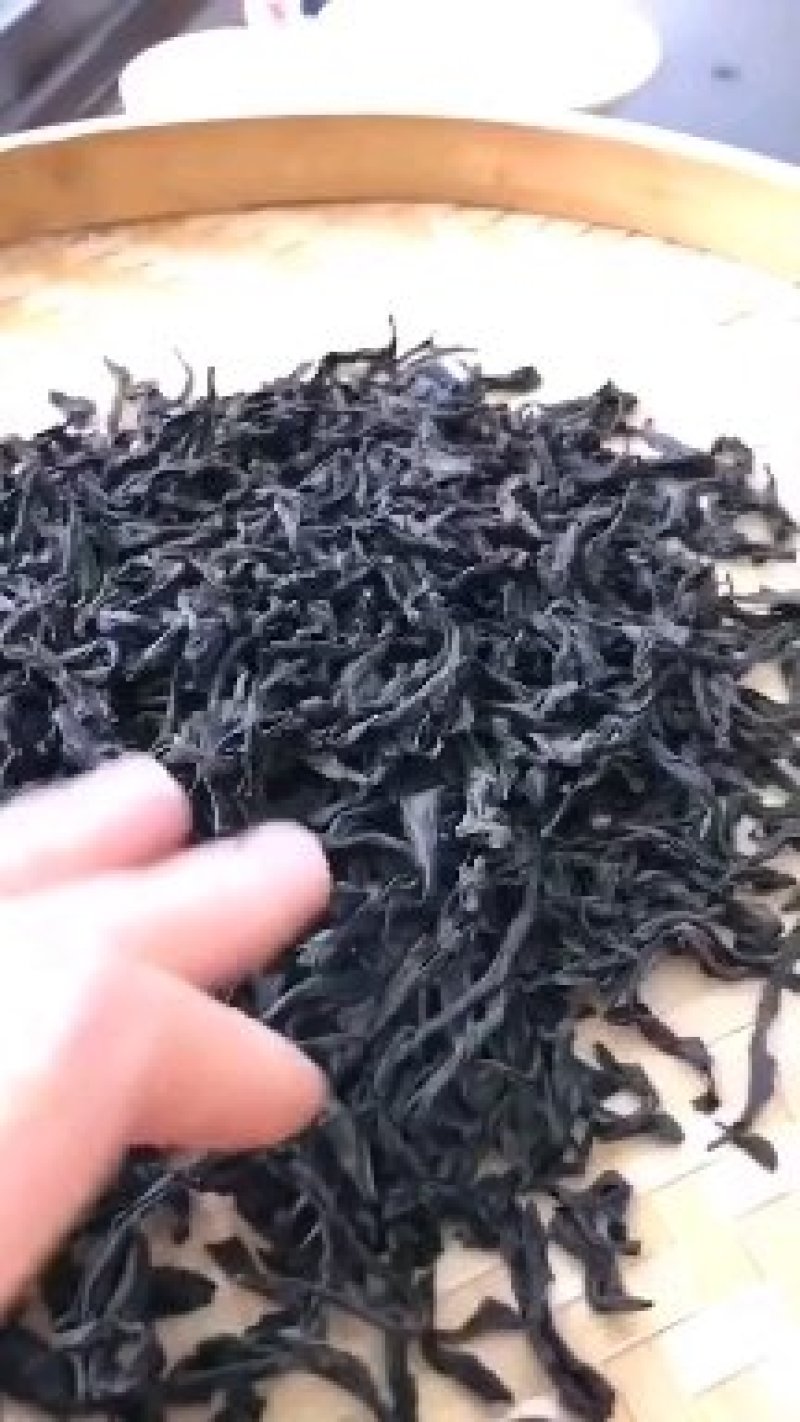 武夷山肉桂