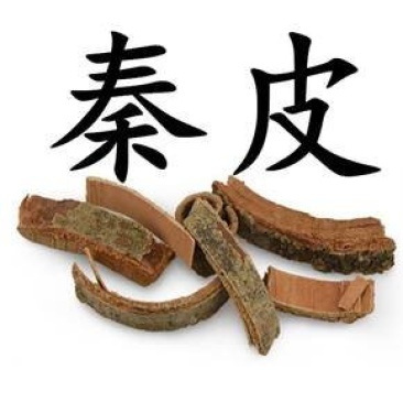 供应中药材秦皮常年批发大货优惠