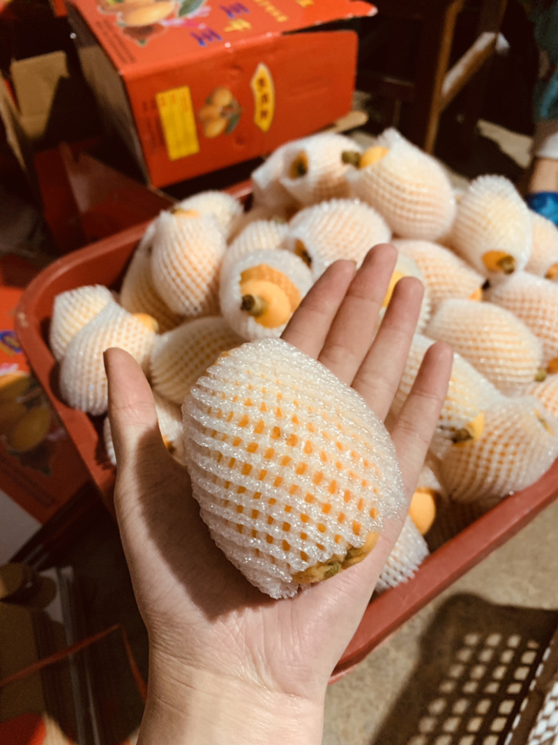 一都枇杷，巴掌大枇杷，多汁，一百多克