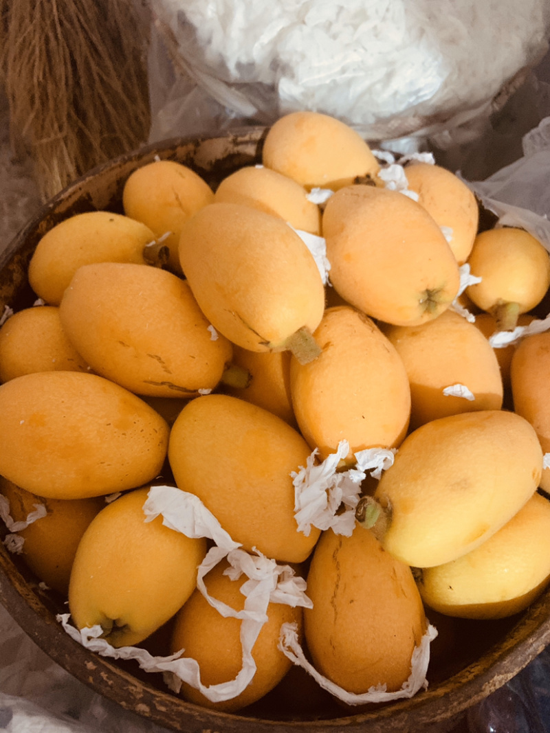 一都枇杷，巴掌大枇杷，多汁，一百多克