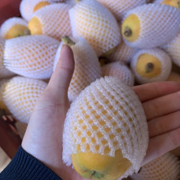 一都枇杷，巴掌大枇杷，多汁，一百多克
