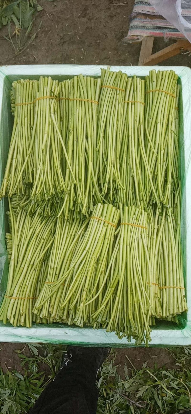 新村芦蒿