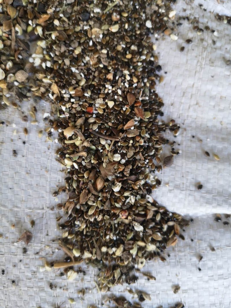 荞麦渣，杂粮碎渣子，莜麦渣碎小米，适合养殖厂用，代替玉米