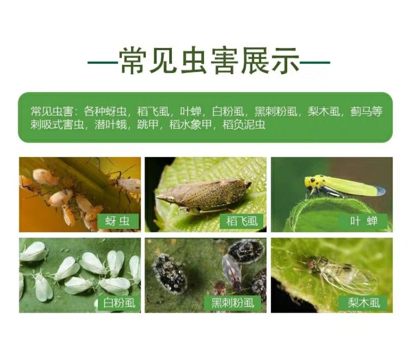 20%溴氰吡虫啉杀虫剂蚜虫蓟马叶蛾菜青食心虫粉虱木虱叶螟