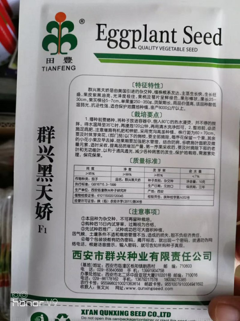 超亮黑将军茄子种子紫黑皮光泽特亮，亩产可达三万斤