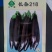 超亮黑将军茄子种子紫黑皮光泽特亮,亩产可达三万斤