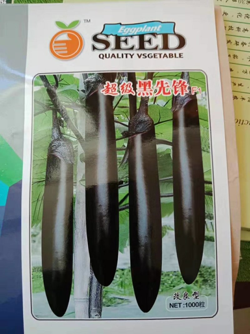 超亮黑将军茄子种子紫黑皮光泽特亮，亩产可达三万斤