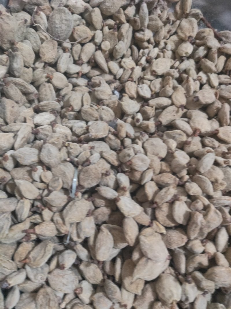 碧桃干桃干毕桃干桃奴憋桃干货好量大要多优惠