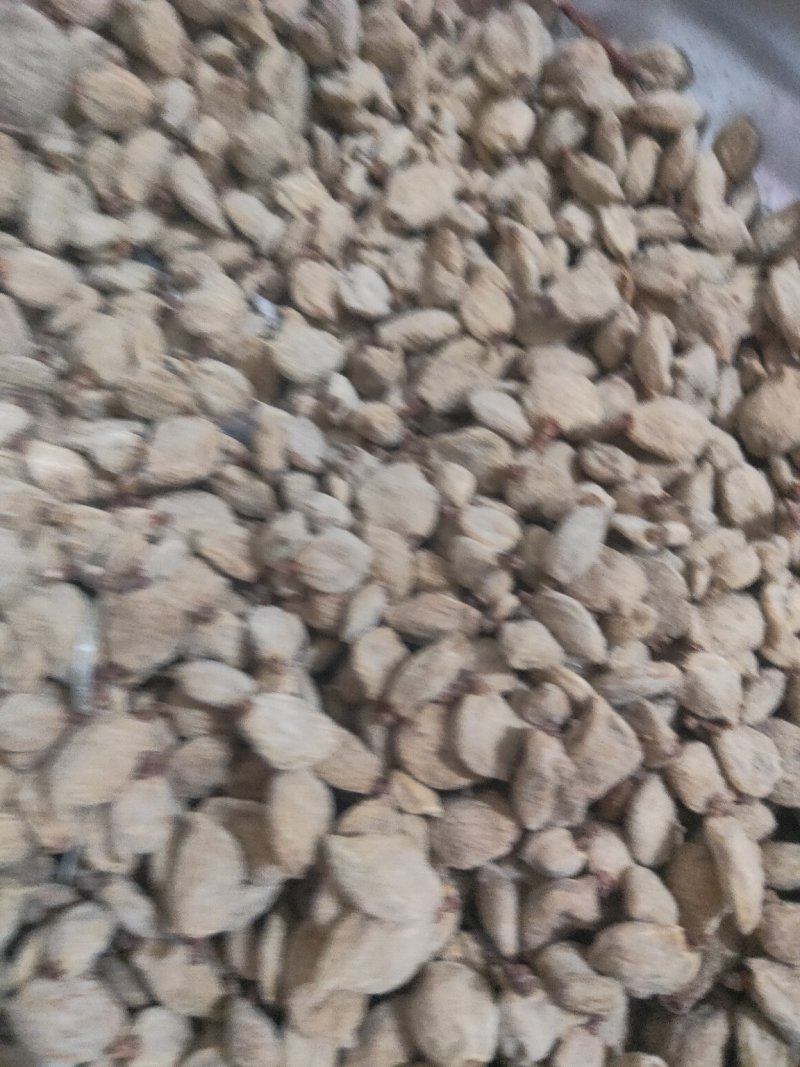 碧桃干桃干毕桃干桃奴憋桃干货好量大要多优惠