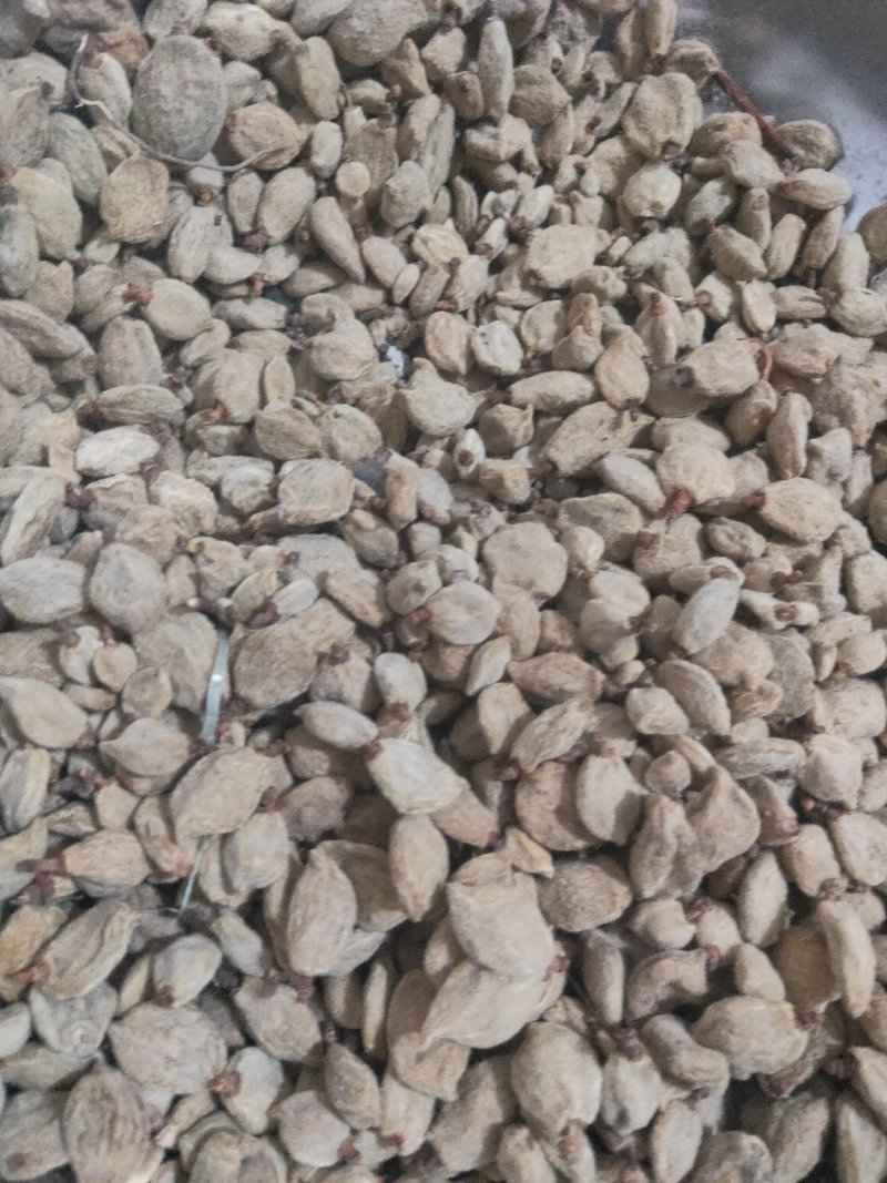 碧桃干桃干毕桃干桃奴憋桃干货好量大要多优惠