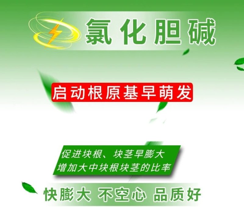 60%氯化胆碱大蒜洋葱红薯土豆地下根茎膨大植物生长调节剂