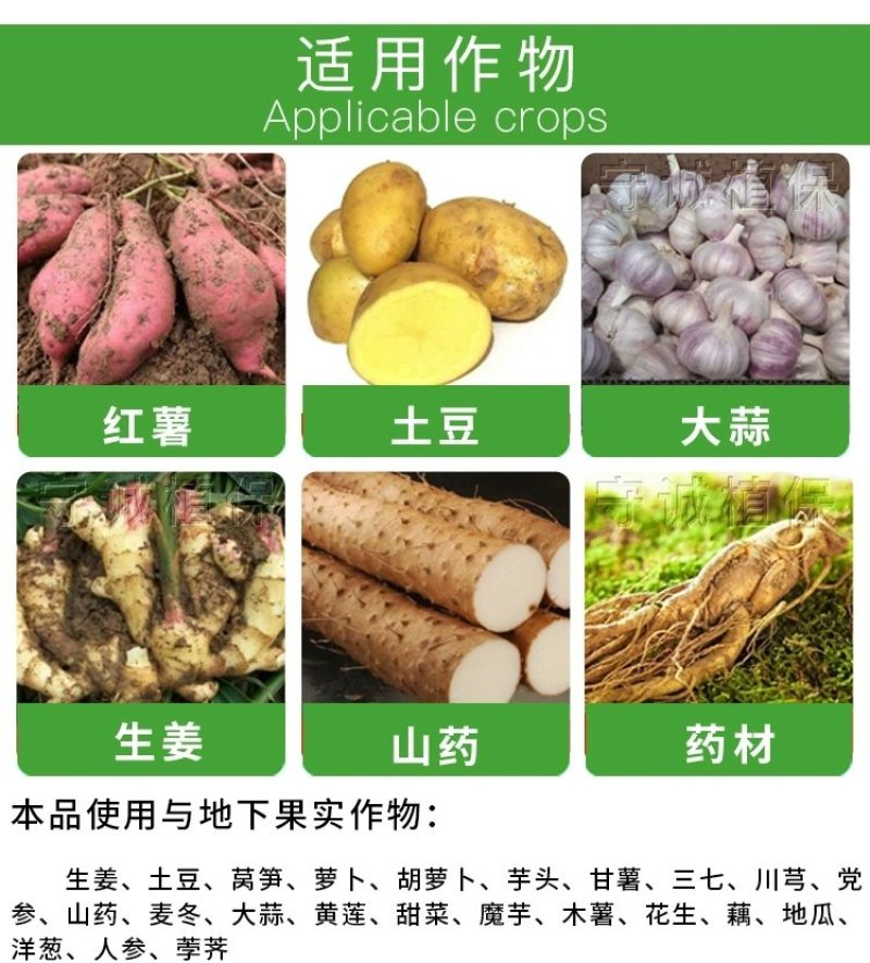 60%氯化胆碱大蒜洋葱红薯土豆地下根茎膨大植物生长调节剂