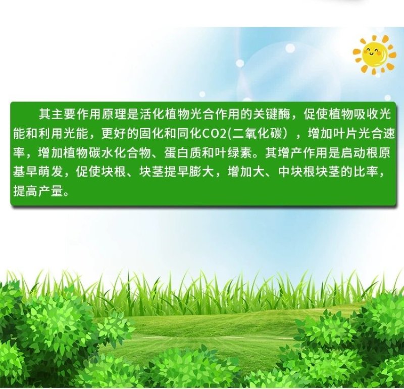 60%氯化胆碱大蒜洋葱红薯土豆地下根茎膨大植物生长调节剂