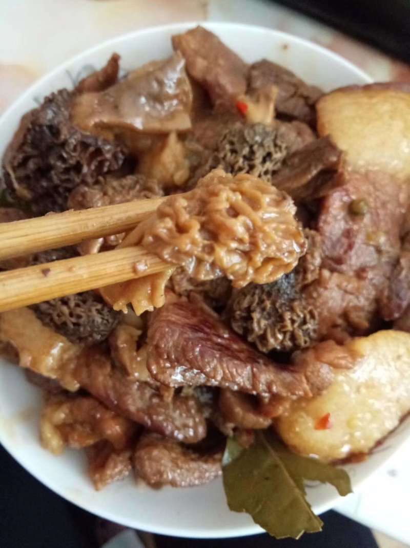野生羊肚菌***羊肚菌，野生菌山珍，特级野生羊肚菌