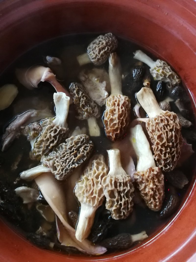 野生羊肚菌***羊肚菌，野生菌山珍，特级野生羊肚菌