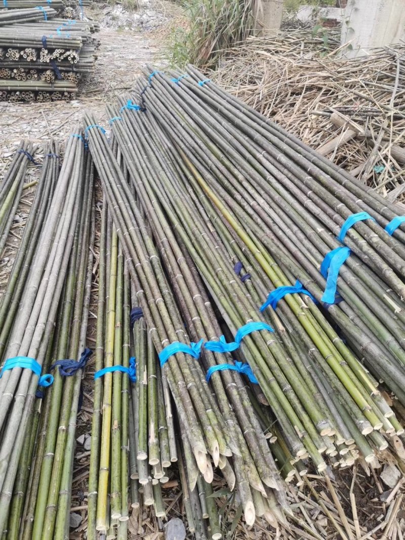 【蔬菜竹架】竹竿菜架竹果树支撑架大棚竹基地直发对接全国