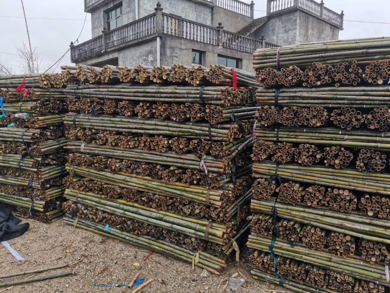 【蔬菜竹架】竹竿菜架竹果树支撑架大棚竹基地直发对接全国