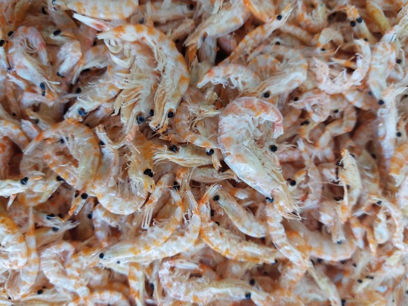 红磷虾皮即食虾皮虾皮干海鲜干货
