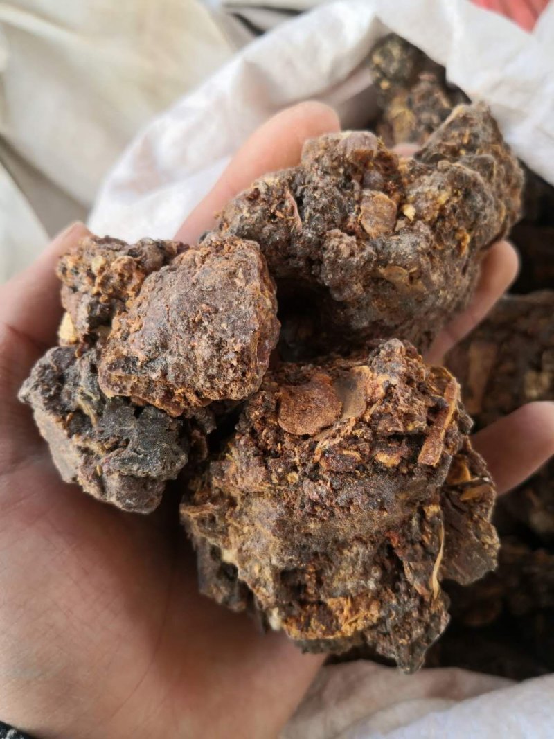 没药进口胶质生没药/制没药各种规格品质保证