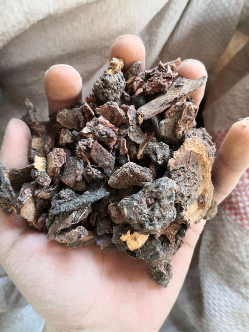 没药进口胶质生没药/制没药各种规格品质保证