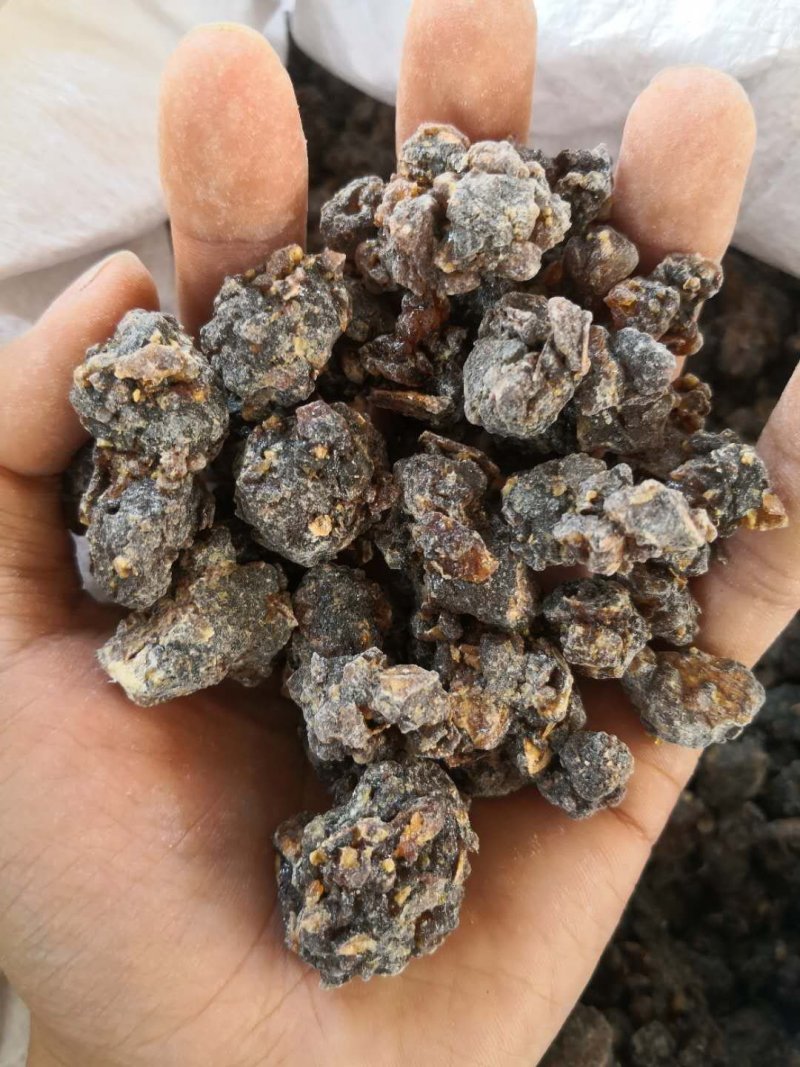 没药进口胶质生没药/制没药各种规格品质保证