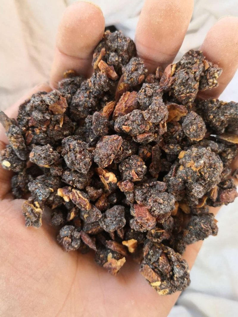 没药进口胶质生没药/制没药各种规格品质保证