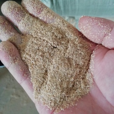 谷糠（大量供应各种壳糠）