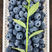 山东青岛蓝莓大果一件代发保证质量现摘现发电商供应
