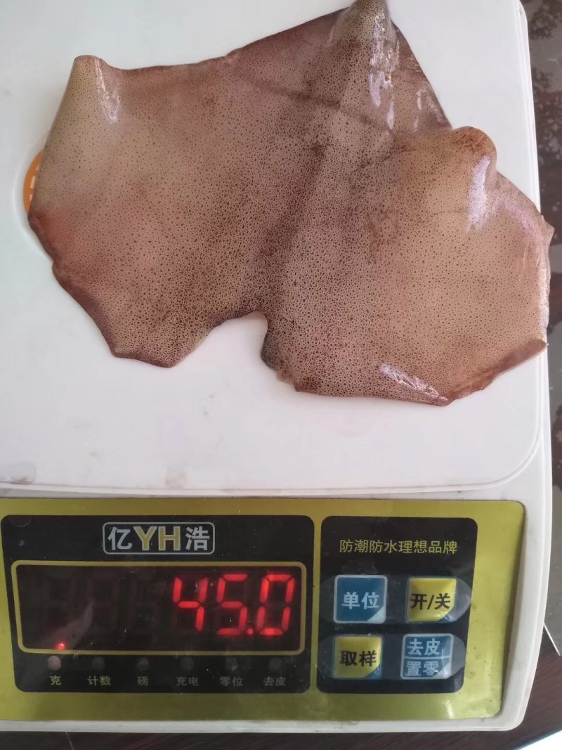 鱿鱼耳朵真鱿北朝鱿鱼原料加工去尾尖坐标丹东东港海源水产