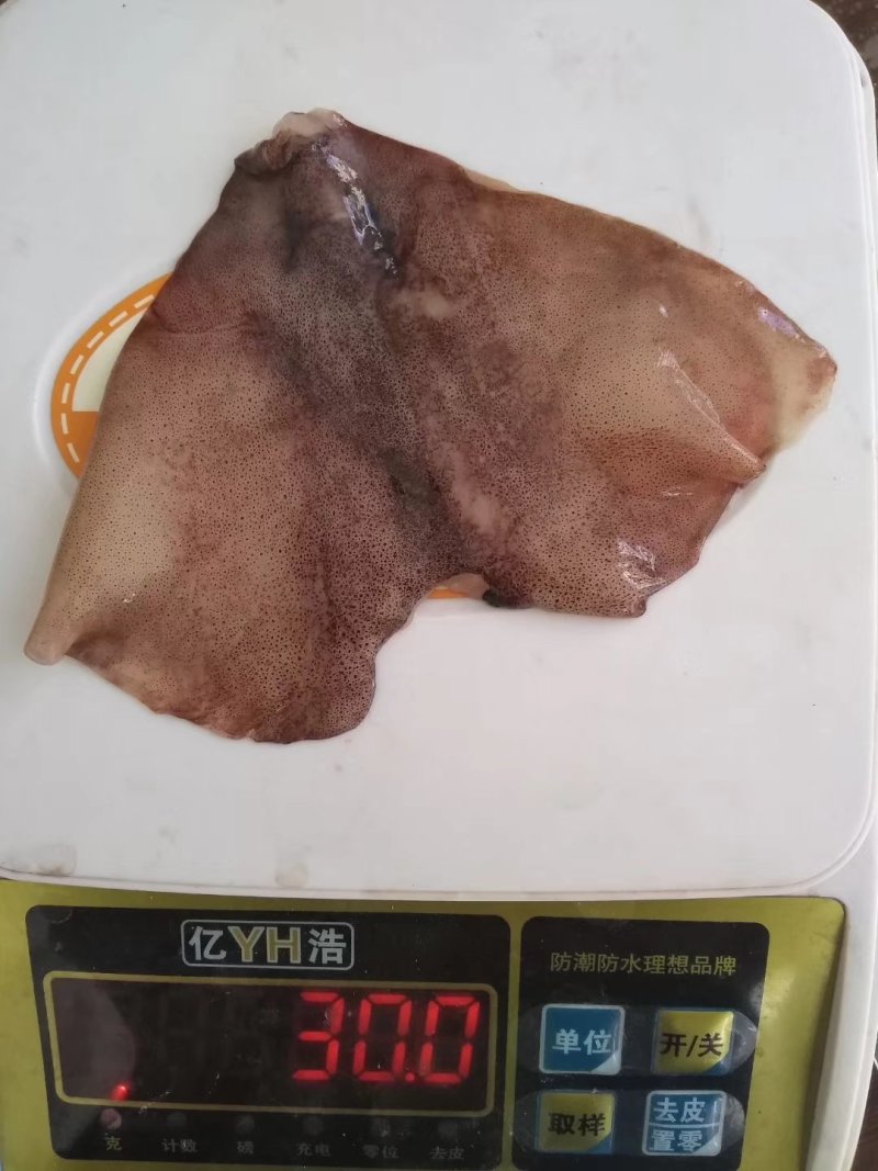 鱿鱼耳朵真鱿北朝鱿鱼原料加工去尾尖坐标丹东东港海源水产