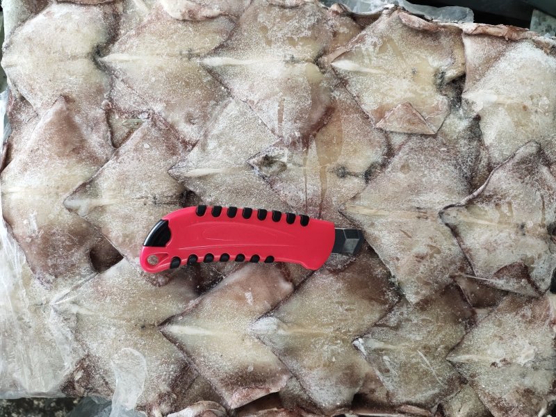 鱿鱼耳朵真鱿北朝鱿鱼原料加工去尾尖坐标丹东东港海源水产