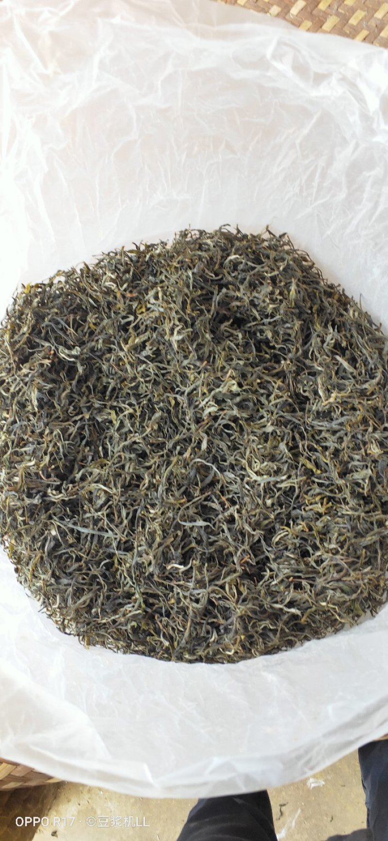 普洱茶
