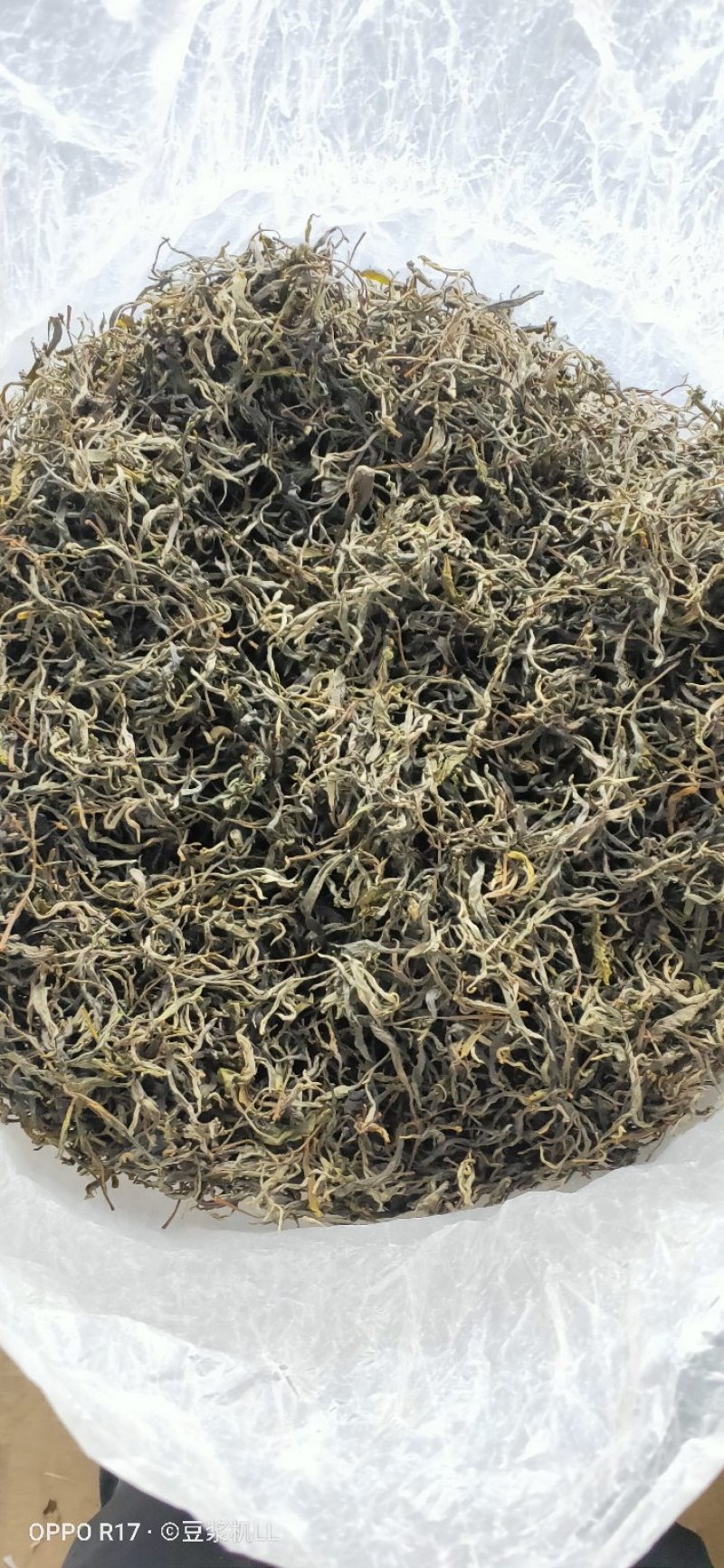 普洱茶