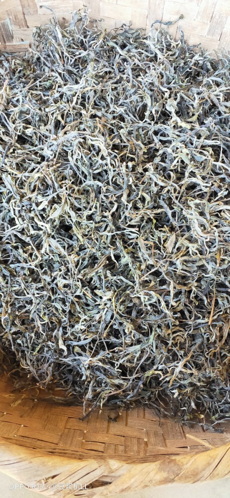 普洱茶